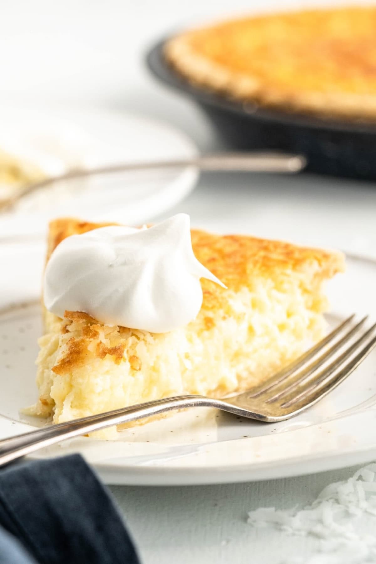 This Old Fashioned Coconut Custard Pie is rich, creamy and packed with sweet coconut flavor! 🥥 Made with a silky homemade custard and flaky pie crust, it's the perfect dessert for Thanksgiving, Easter, Christmas or Sunday dinner. Save this classic pie recipe! #coconutcustardpie #pierecipes #dessertrecipes #oldfashionedrecipes #holidaydesserts slice of coconut custard pie with whipped cream on top