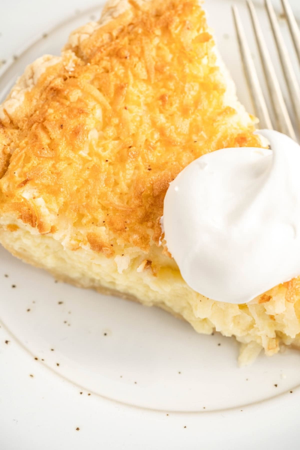 This Old Fashioned Coconut Custard Pie is rich, creamy and packed with sweet coconut flavor! 🥥 Made with a silky homemade custard and flaky pie crust, it's the perfect dessert for Thanksgiving, Easter, Christmas or Sunday dinner. Save this classic pie recipe! #coconutcustardpie #pierecipes #dessertrecipes #oldfashionedrecipes #holidaydesserts coconut custard pie slice close up