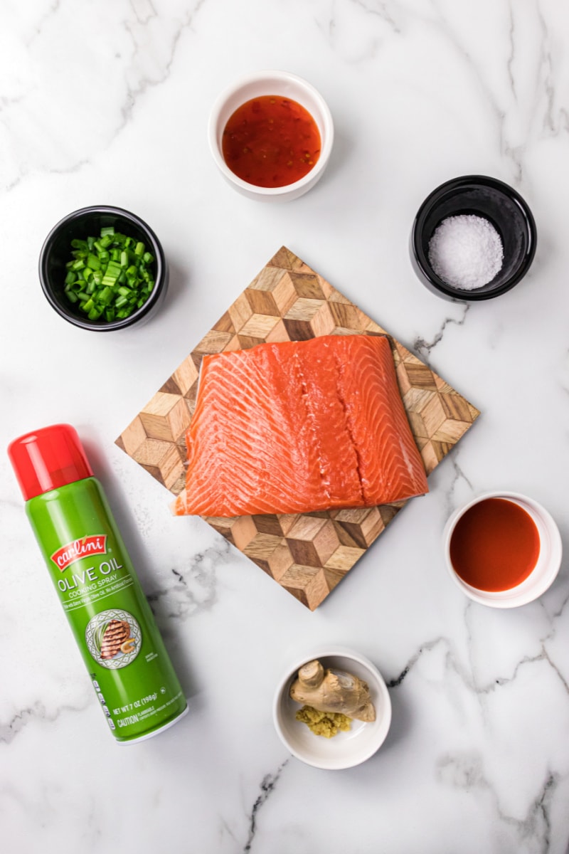 ingredients displayed for making sweet and spicy air fryer salmon