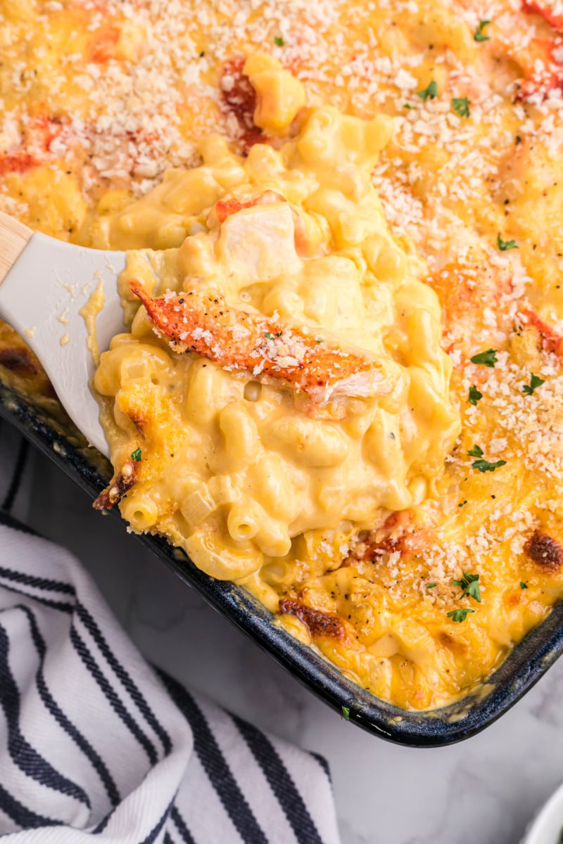 spooning lobster macaroni and cheese out of baking dish