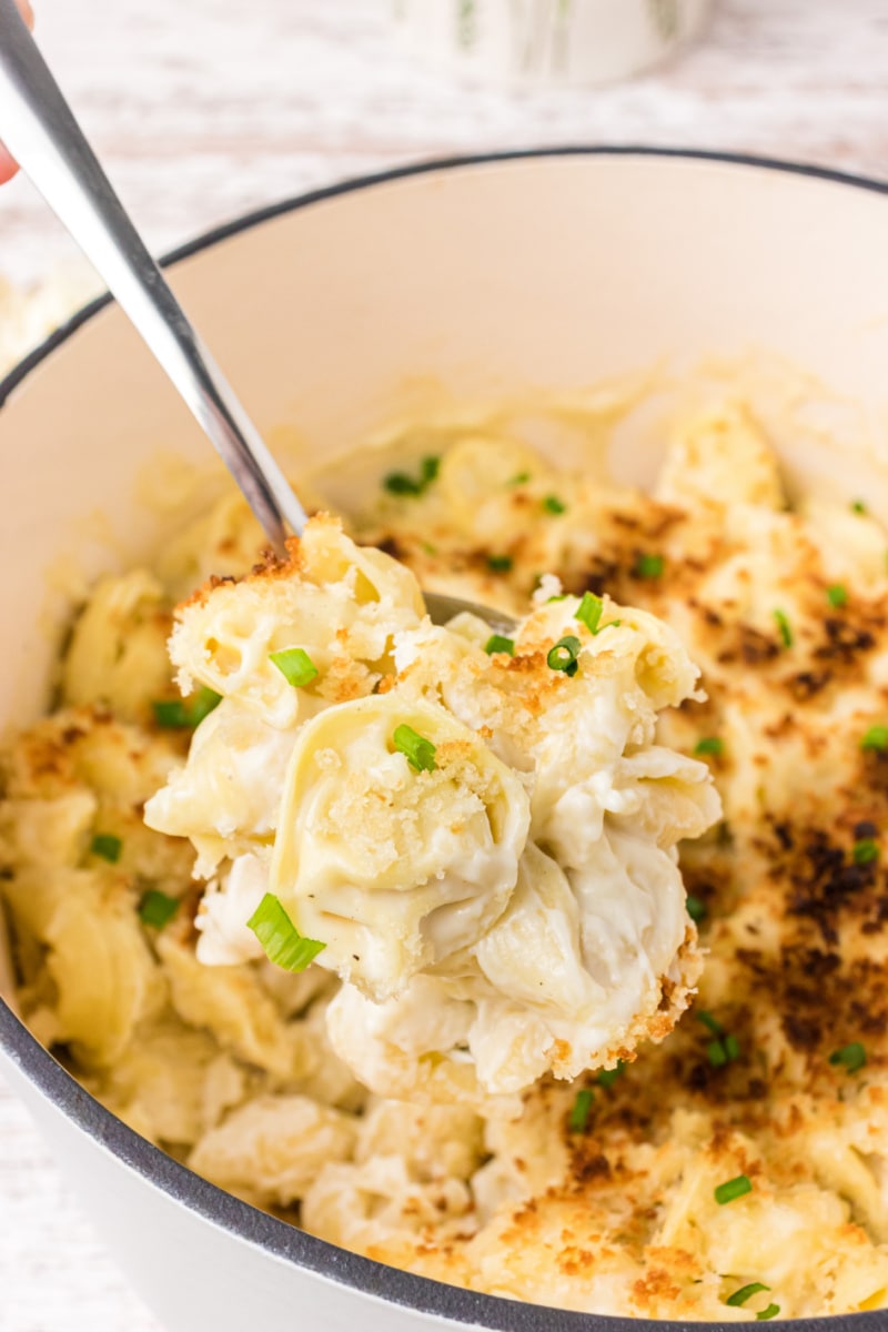 spooning out tortellini mac and cheese out of pot