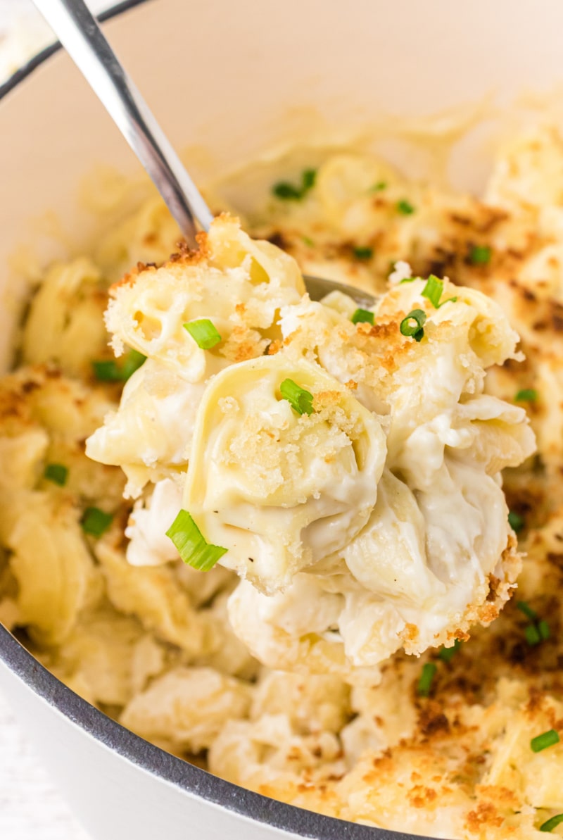 spooning tortellini mac and cheese out of pot