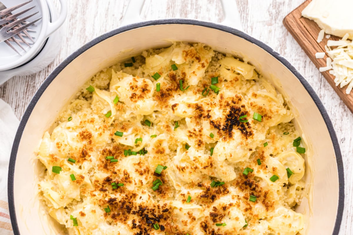 Tortellini Mac and Cheese Recipe Girl®