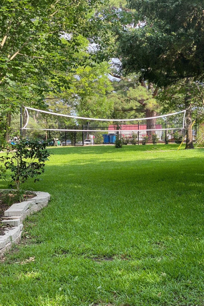 volleyball net on green grass