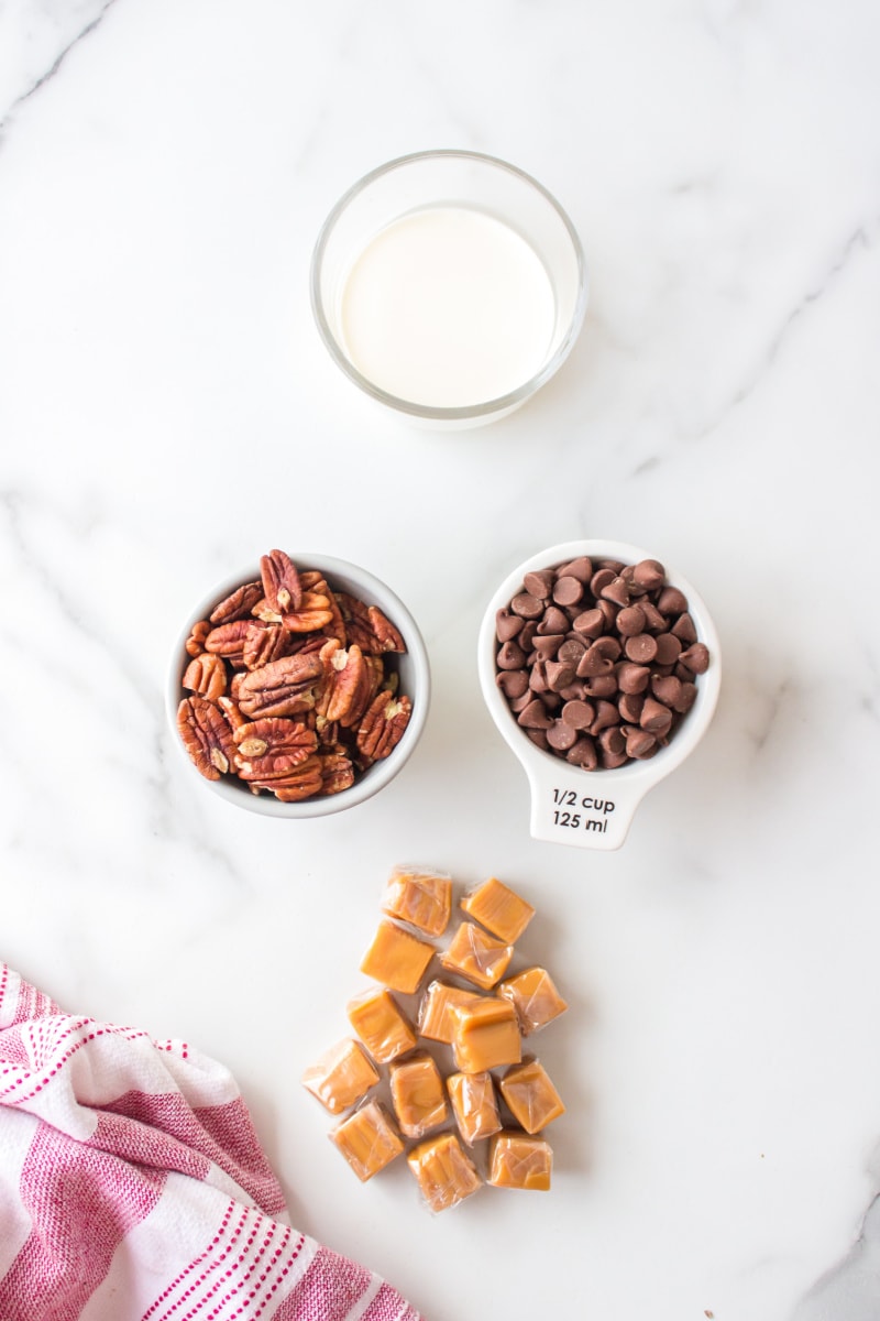 ingredients displayed for making turtles candy