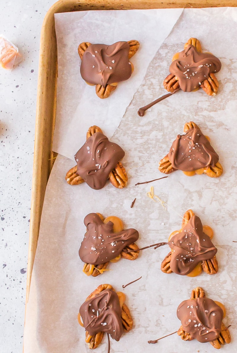 turtles on a baking sheet 