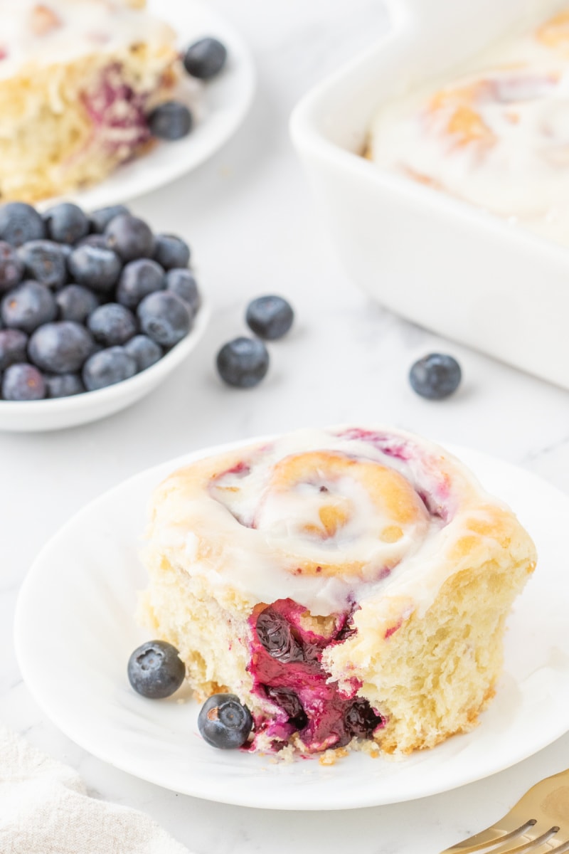 blueberry sweet roll on a plate