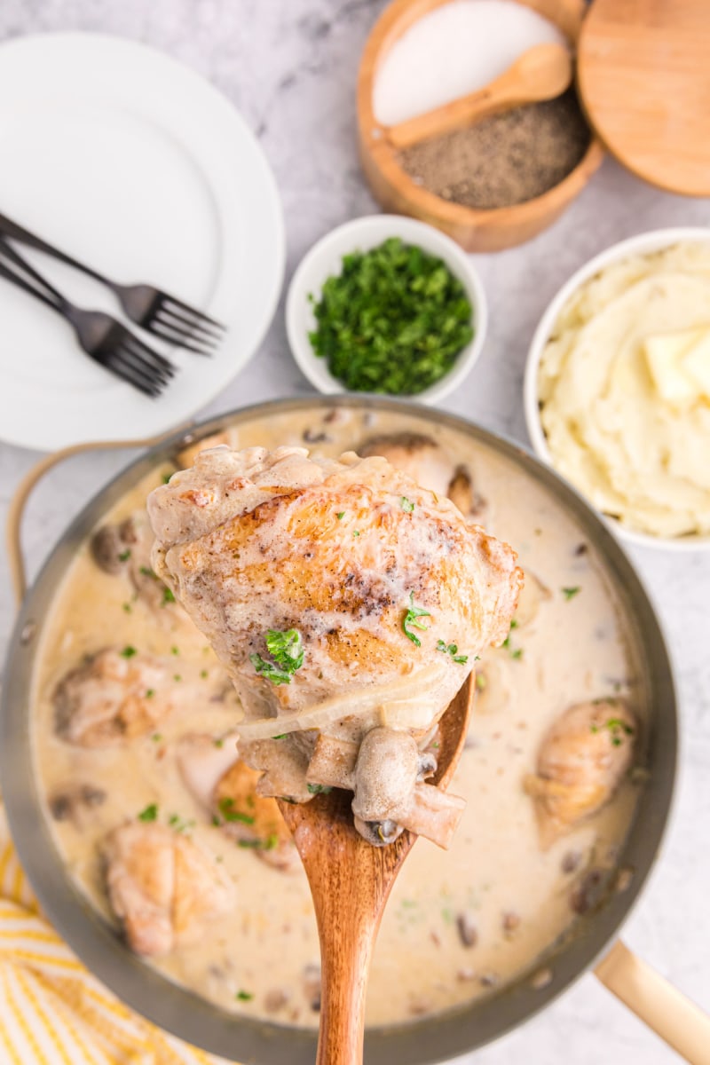 pan of chicken fricassee spoon holding chicken