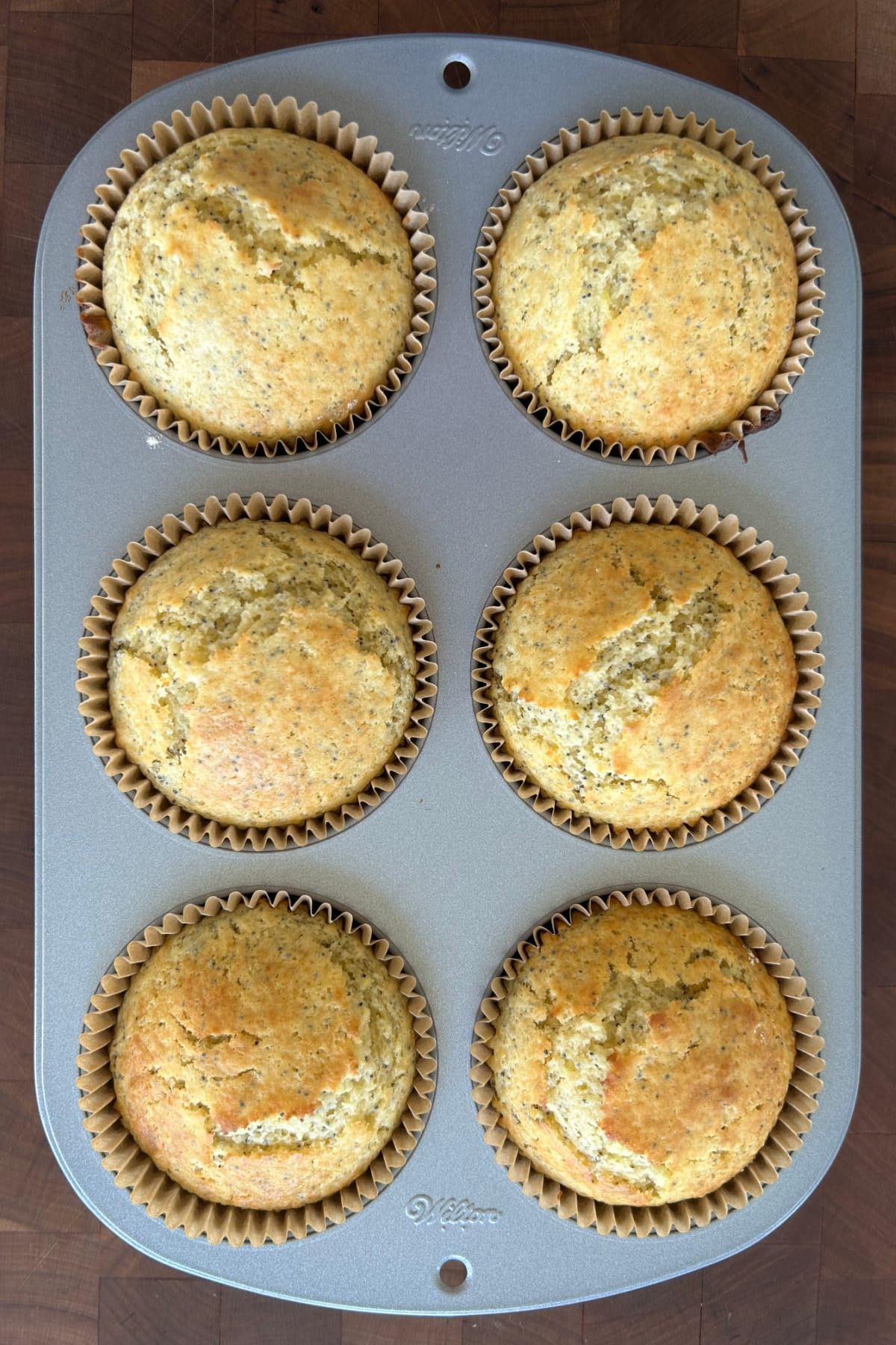 poppy seed muffins in pan