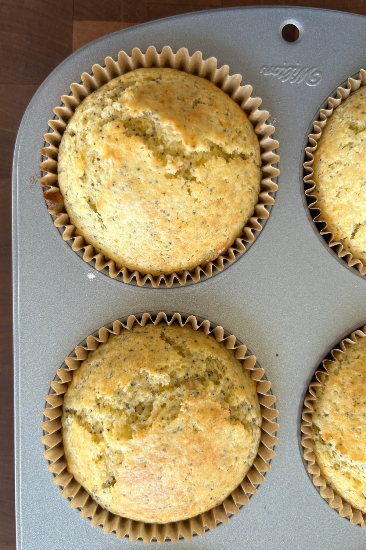 overhead shot of poppy seed muffins in pan