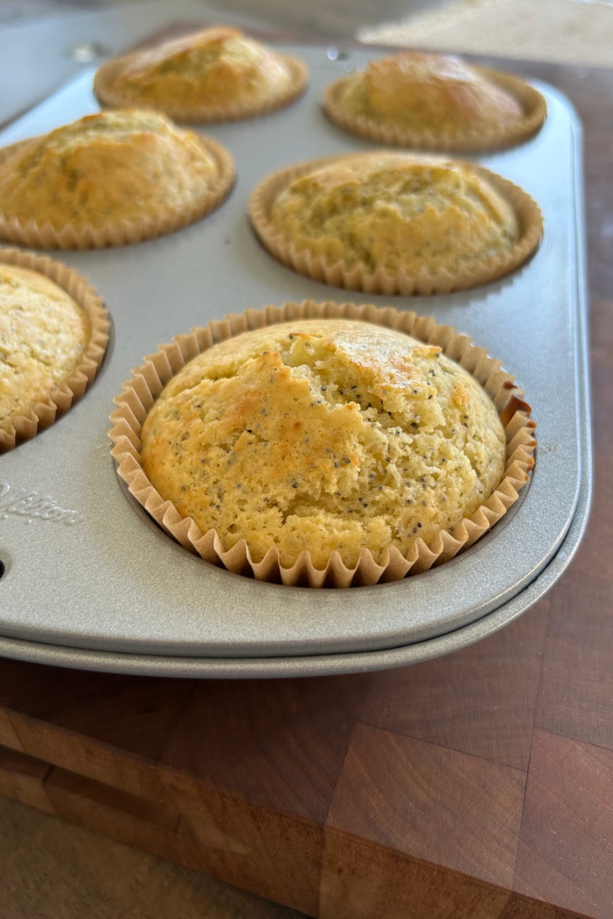 poppy seed muffins in baking pan