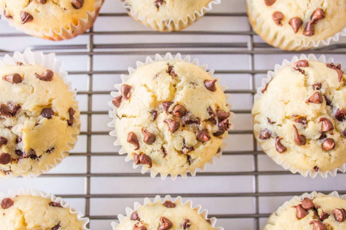 Mini Chocolate Chips Muffins – Recipe Girl®