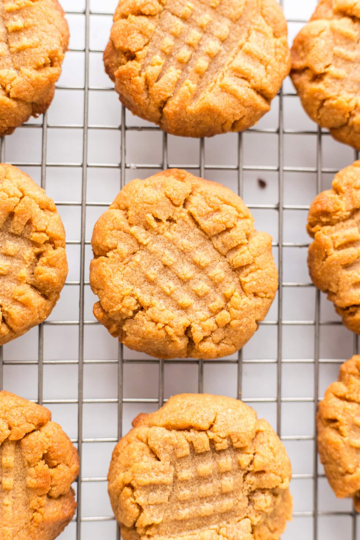 3 Ingredient PB Cookies recipe from RecipeGirl.com : classic, old fashioned peanut butter cookie recipe using just three ingredients 3 Ingredient PB Cookies on a cooling rack