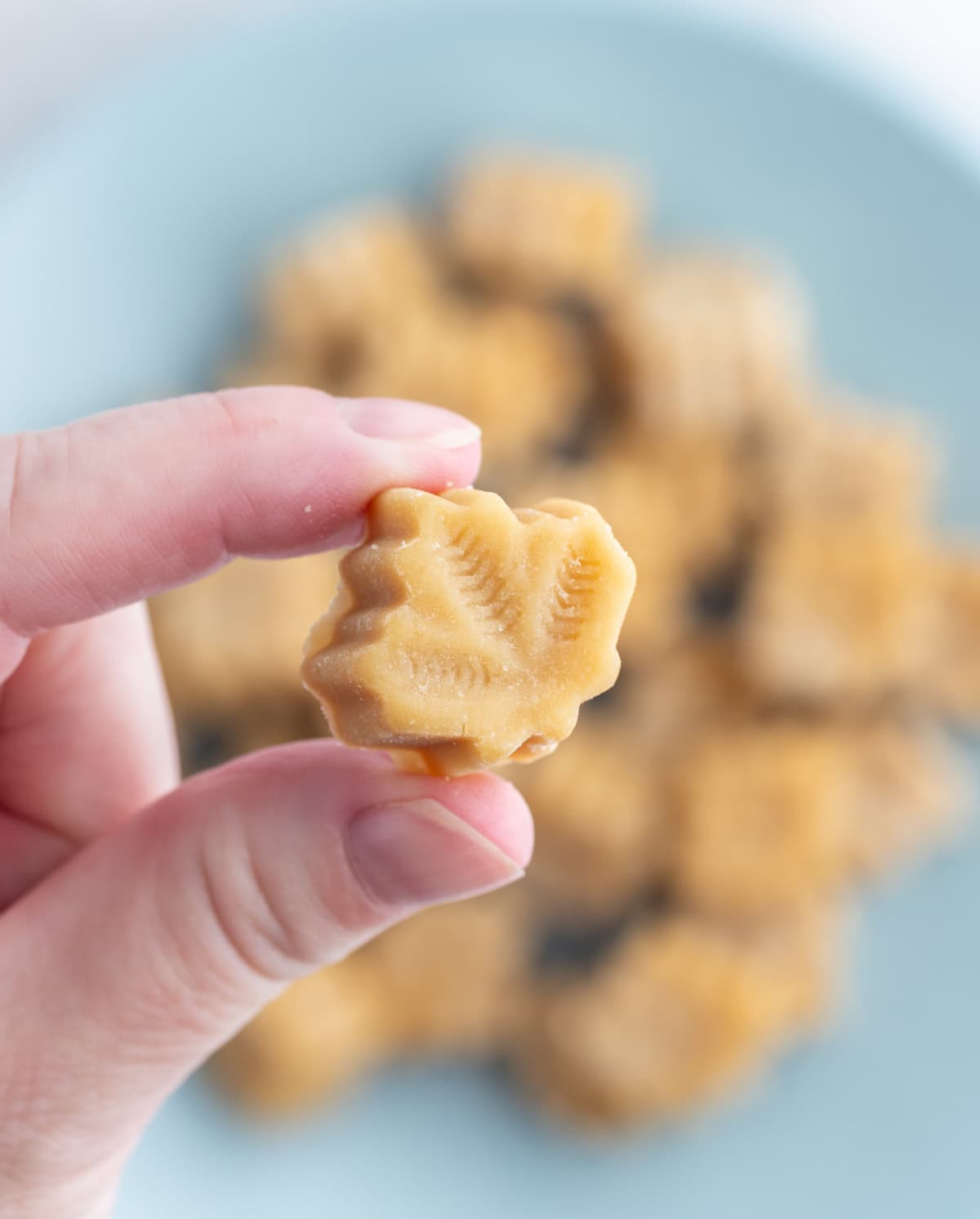 These Maple Syrup Candies are made with only one ingredient: pure maple syrup! Make them in maple leaf molds for cute results. Recipe from RecipeGirl.com. fingers holding piece of maple candy