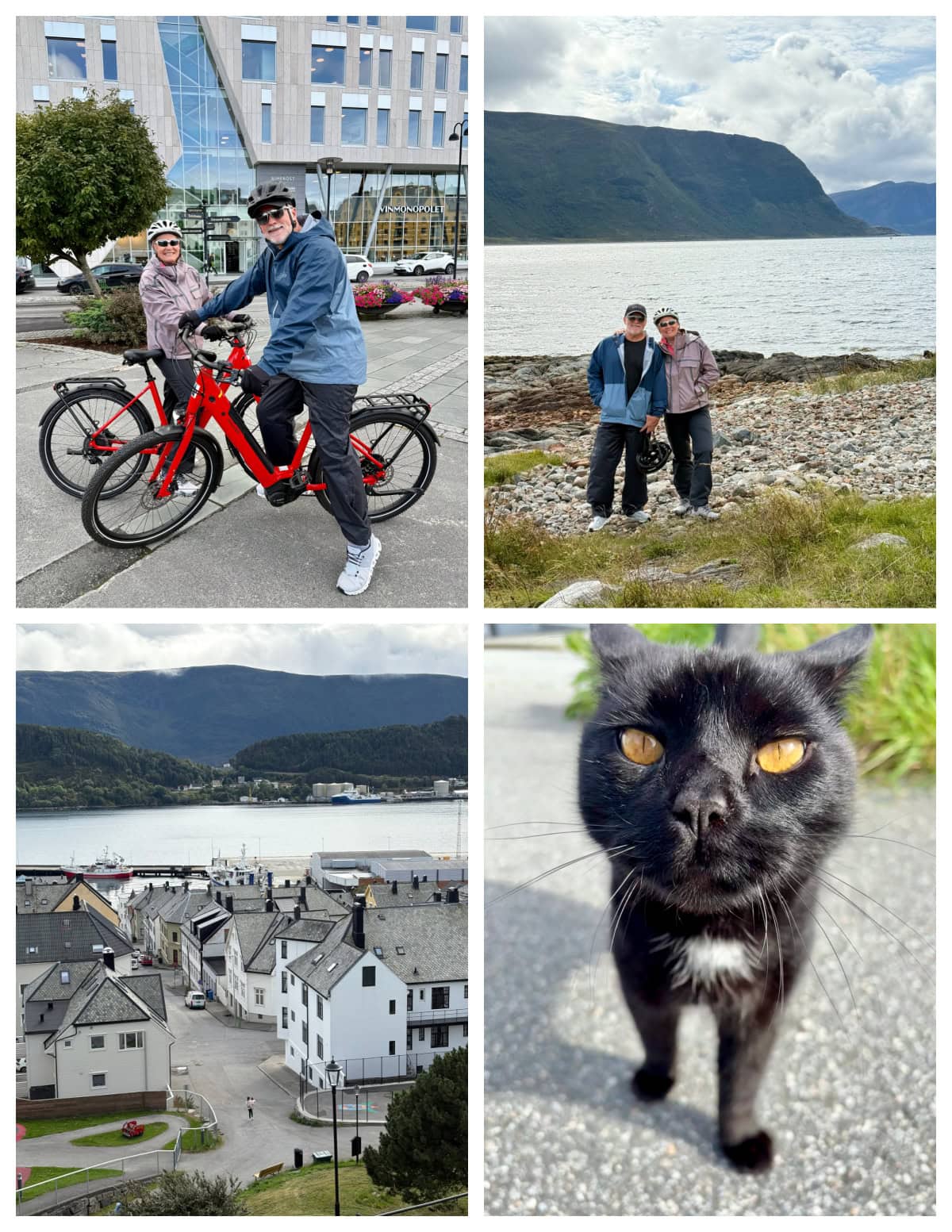 norway viking cruise ebiking hessa island