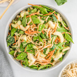 big bowl of spicy peanut noodles and asian vegetables