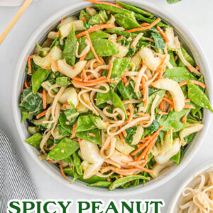 spicy peanut noodles