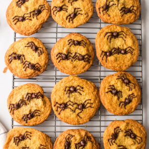 halloween spider cookies pinterest pin