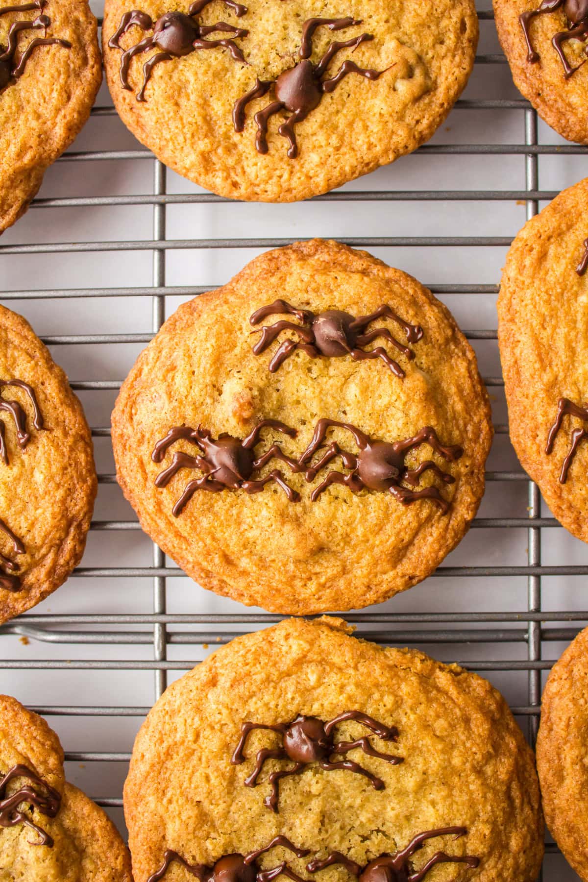 Halloween Spider Cookies are chocolate chip cookies with chocolate spiders on top. They are perfect, spooky cookies for a party. Recipe from RecipeGirl.com. halloween spider cookies on baking rack