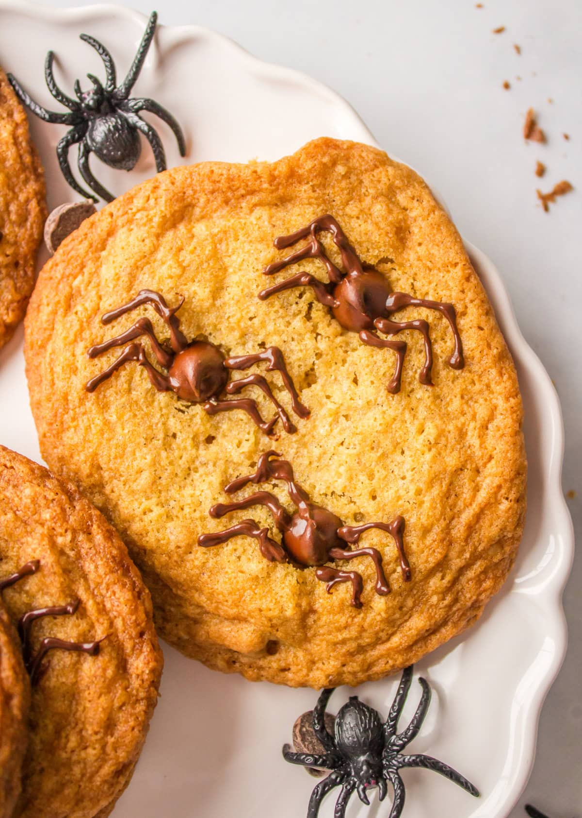 Halloween Spider Cookies are chocolate chip cookies with chocolate spiders on top. They are perfect, spooky cookies for a party. Recipe from RecipeGirl.com. close up halloween spider cookie