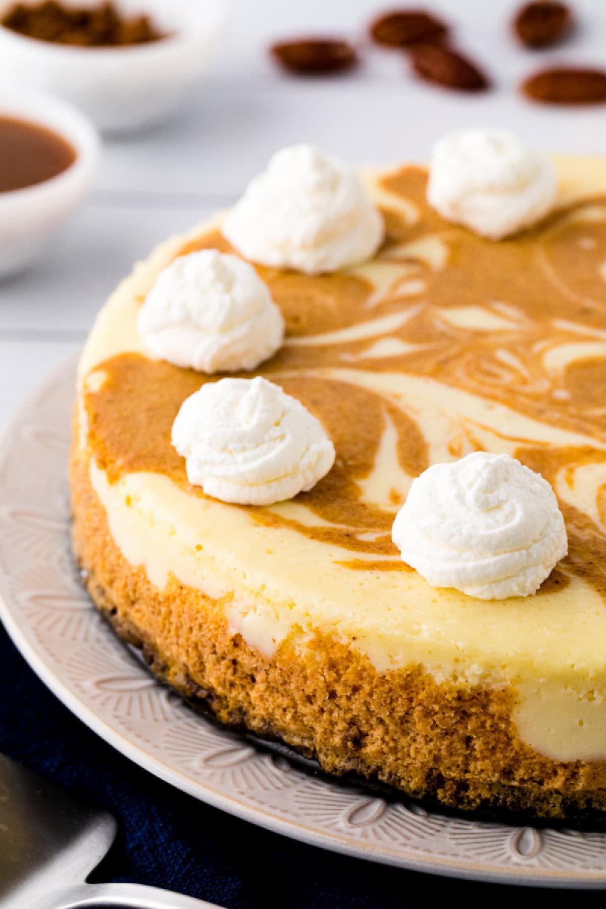 This creamy Pumpkin Swirl Cheesecake has a buttery gingersnap-pecan crust and a gorgeous marbled swirl of pumpkin and cheesecake. Perfect for Thanksgiving or any cozy fall celebration! Top with caramel or whipped cream for an irresistible dessert everyone will love. pumpkin swirl cheesecake with whipped cream on top