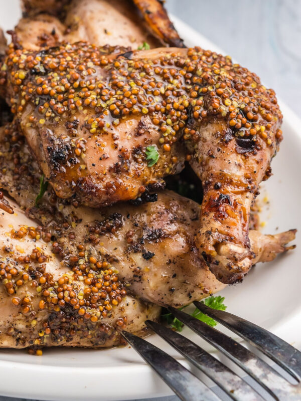 grilled cornish game hens on a plate with honey mustard sauce