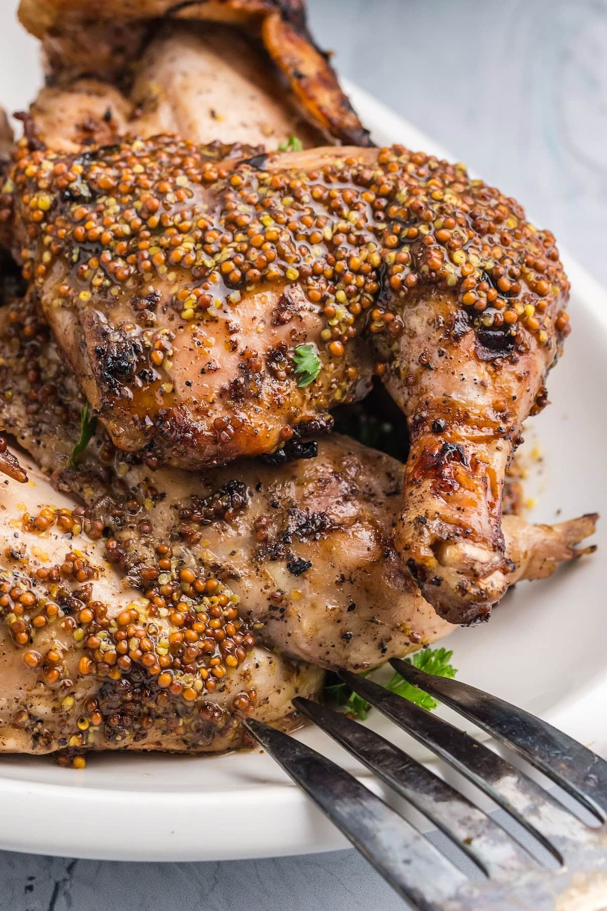 These Grilled Cornish Game Hens are brushed with a sweet-savory mustard glaze and grilled to juicy perfection—an impressive, easy main dish for holidays or entertaining. grilled cornish game hens on a plate with honey mustard sauce