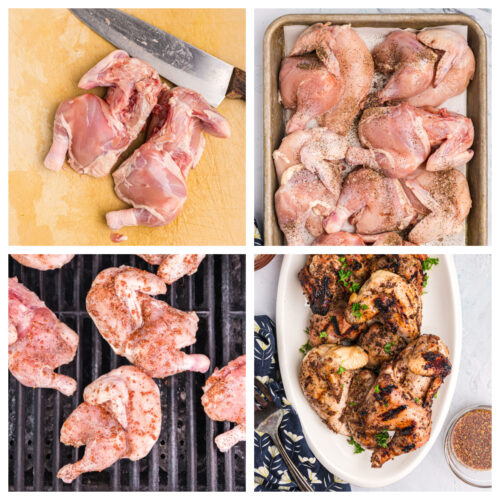 Grilled Cornish Game Hens Recipe Girl Grilled Cornish Game Hens 3 500x500 