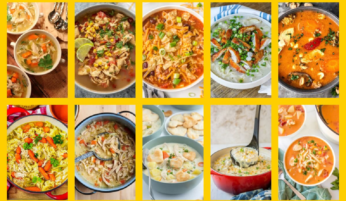 The Ultimate Collection of Chicken Noodle Soup Recipes