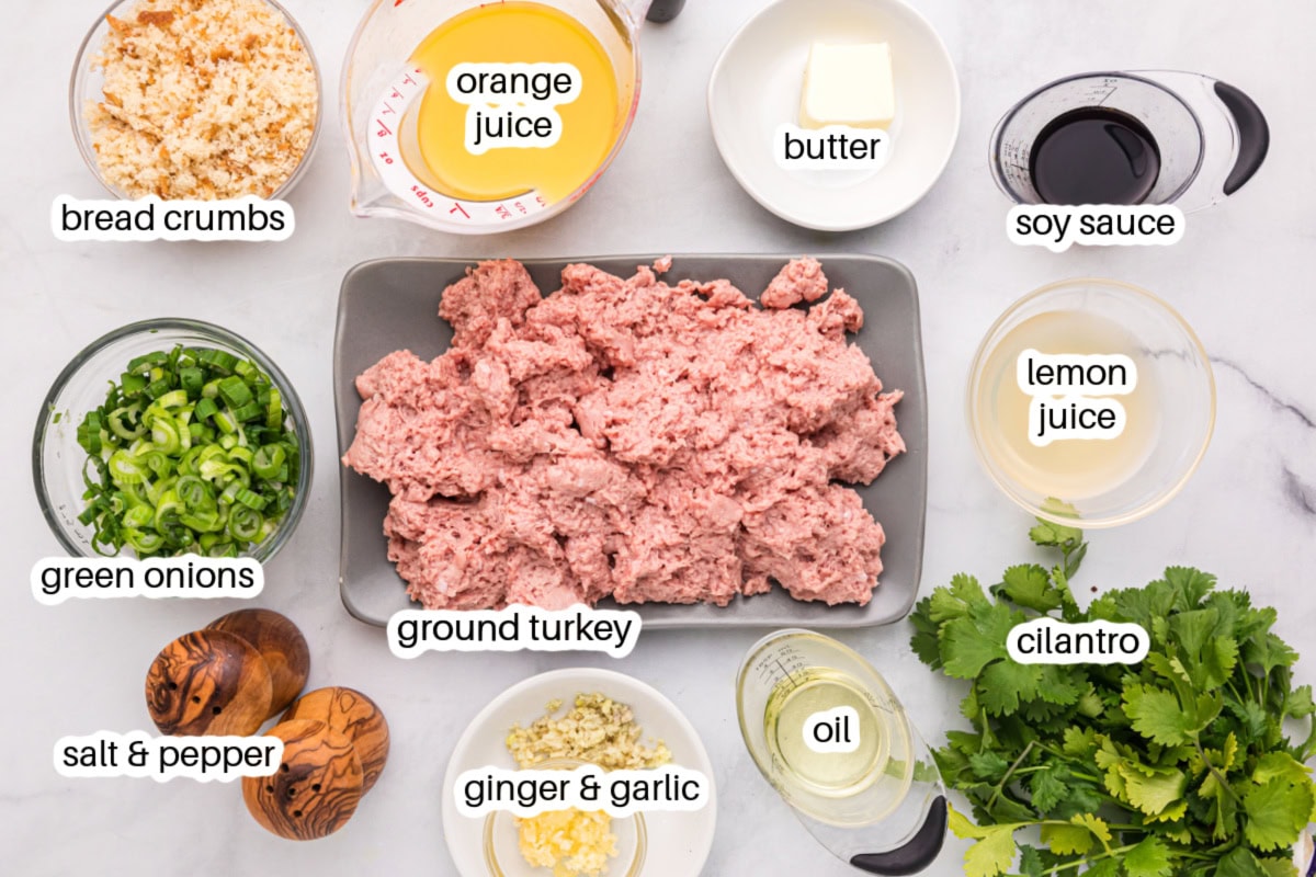 These Healthy Turkey Burgers with Orange Ginger Glaze are juicy, bright, and full of fresh flavor. Lean turkey meets a tangy homemade citrus glaze — perfect for easy dinners! ingredients displayed for making healthy turkey burgers