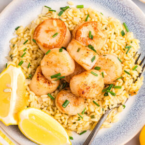 plate of orzo topped with scallops