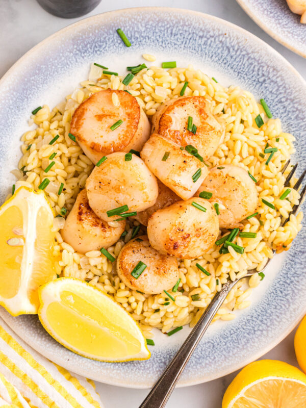 plate of orzo topped with scallops
