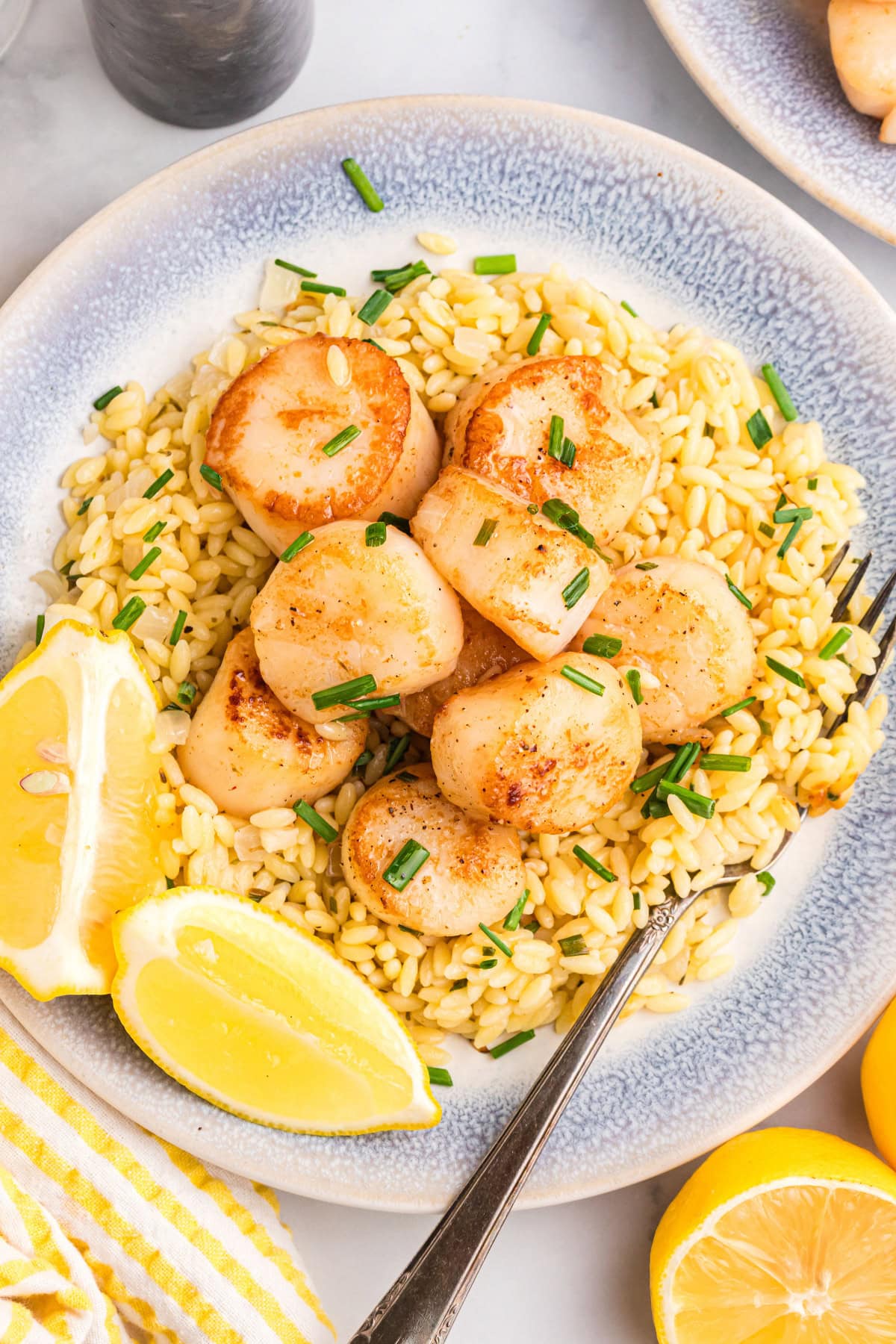 Golden seared scallops over bright, lemony orzo make an elegant yet easy dinner recipe—perfect for entertaining or a special weeknight meal. plate of orzo topped with scallops