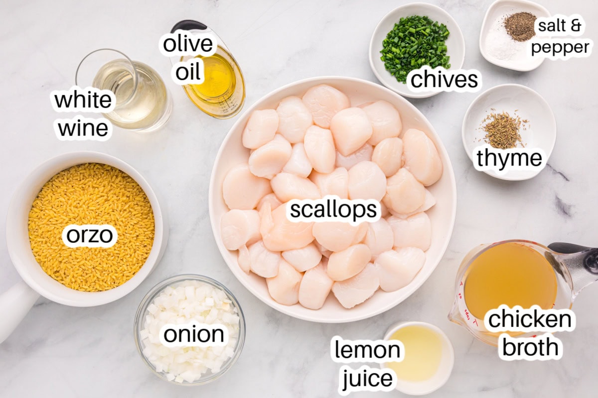 Golden seared scallops over bright, lemony orzo make an elegant yet easy dinner recipe—perfect for entertaining or a special weeknight meal. ingredients displayed for making scallops with orzo