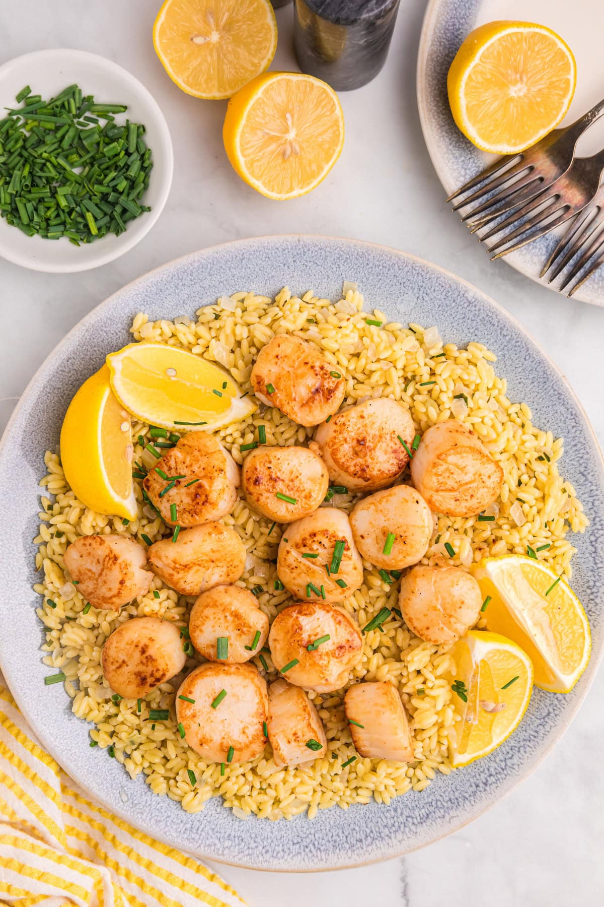 Golden seared scallops over bright, lemony orzo make an elegant yet easy dinner recipe—perfect for entertaining or a special weeknight meal. scallops with lemon orzo on a plate