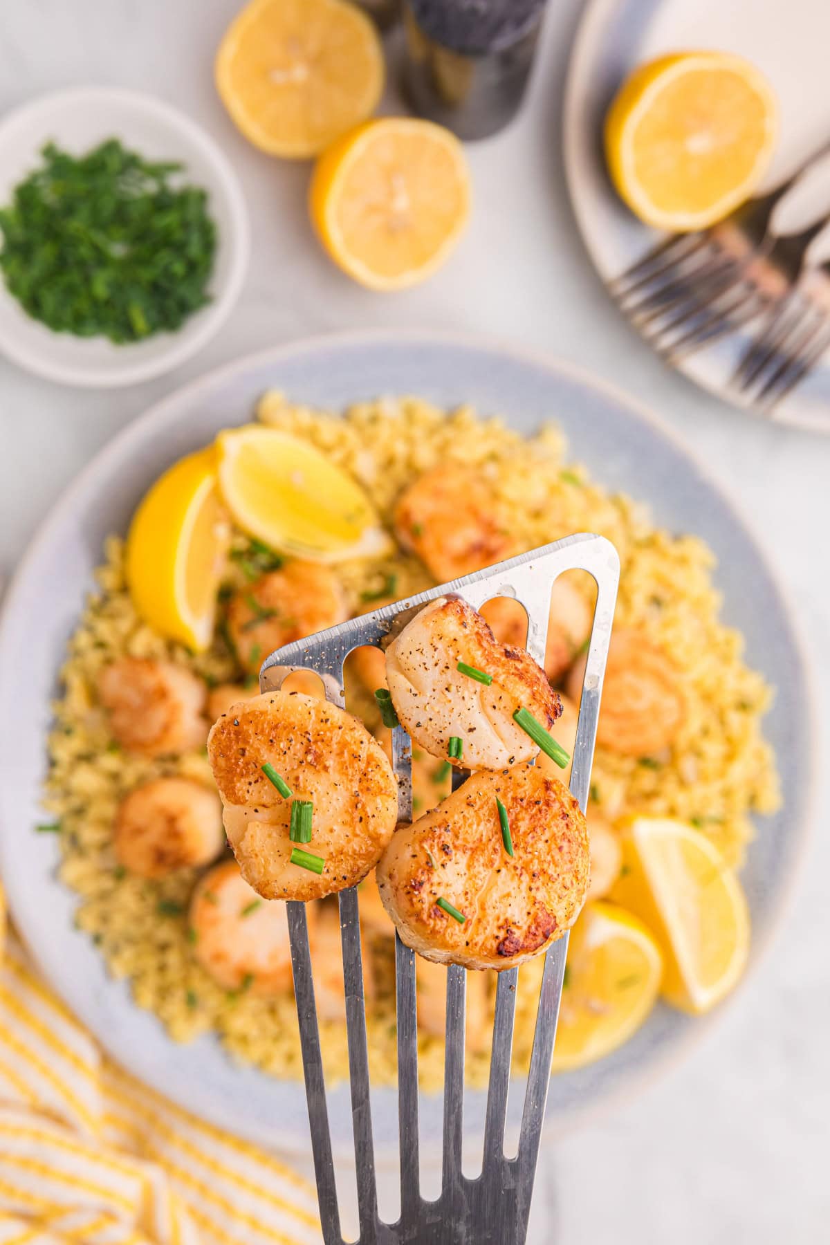 Golden seared scallops over bright, lemony orzo make an elegant yet easy dinner recipe—perfect for entertaining or a special weeknight meal. spatula holding scallops over a plate of orzo