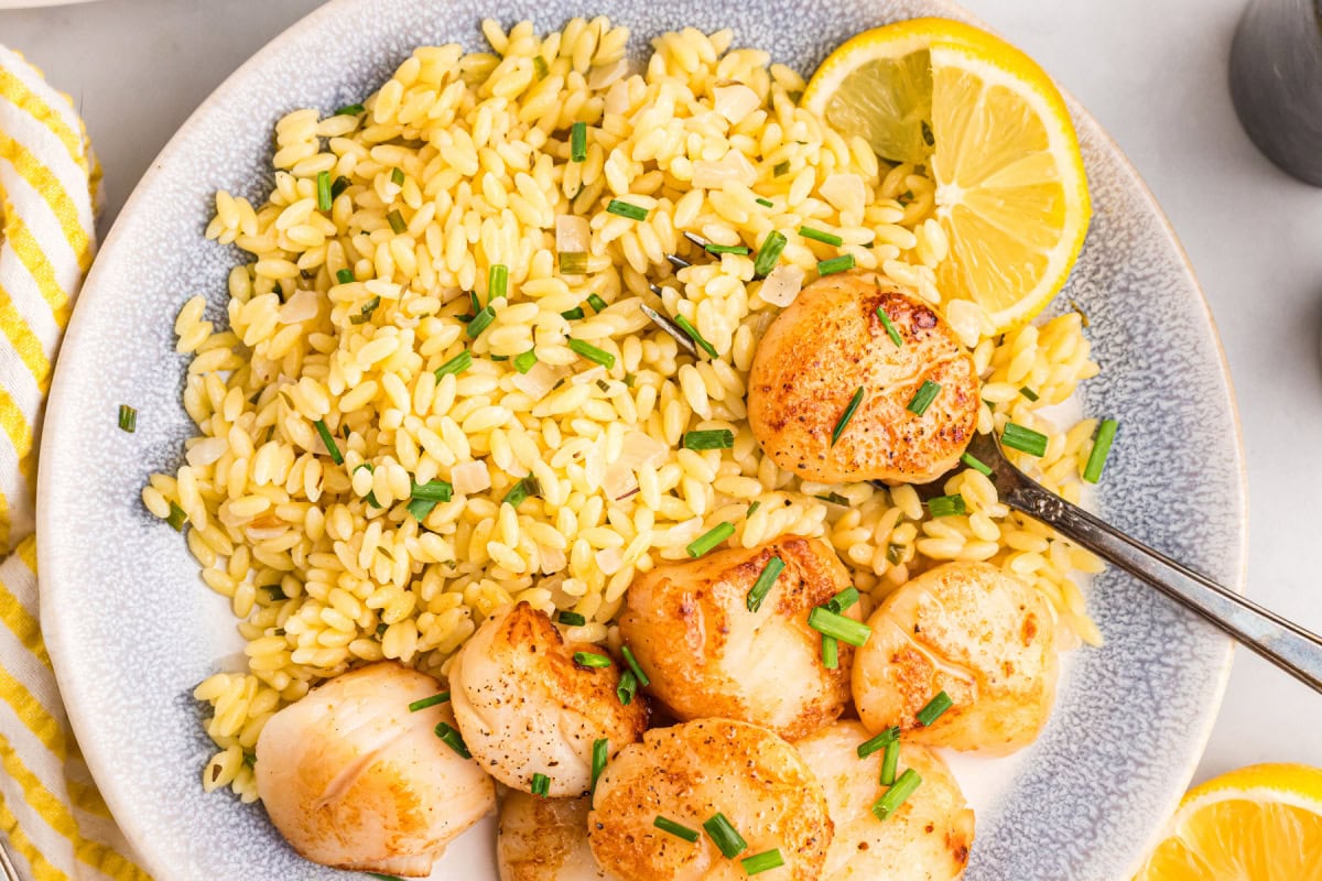 Golden seared scallops over bright, lemony orzo make an elegant yet easy dinner recipe—perfect for entertaining or a special weeknight meal. scallops with lemon orzo