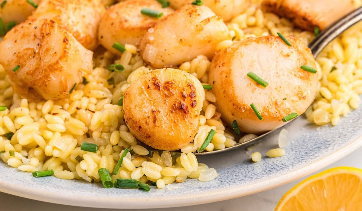 Scallops with Orzo