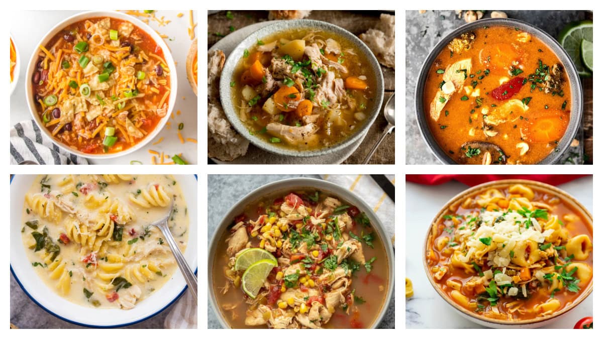 Slow Cooker Chicken Soup Recipes