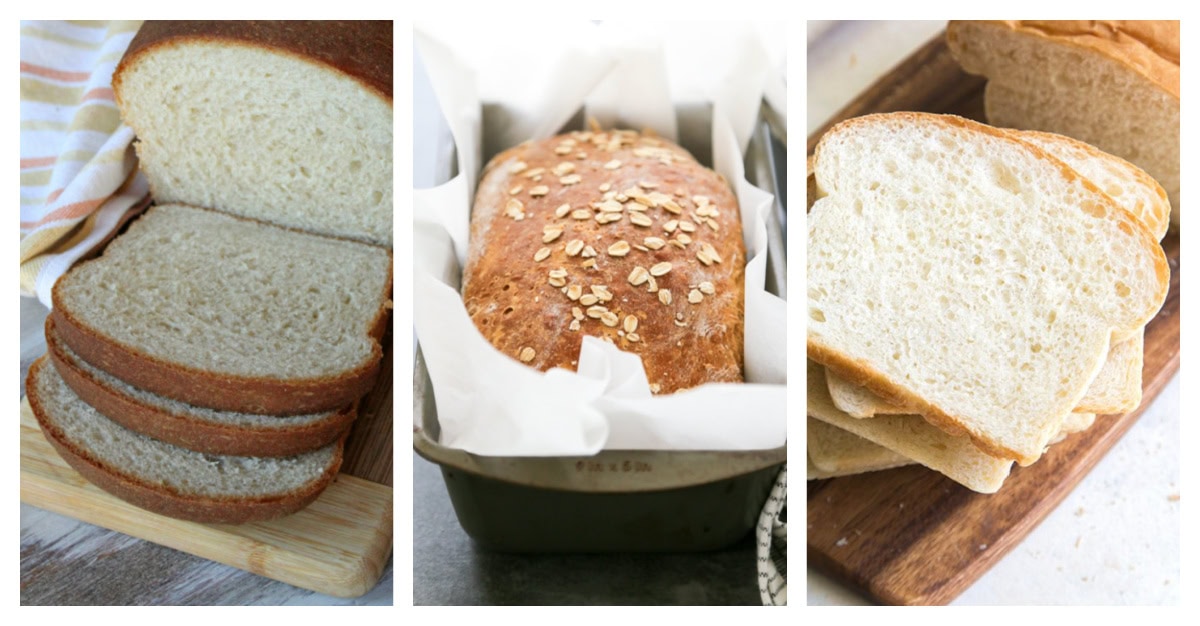 3 sandwich bread photos