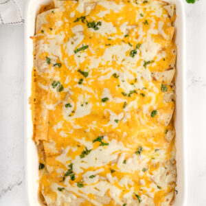 cheesy chicken enchiladas just out of the oven