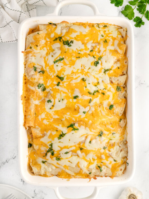 cheesy chicken enchiladas just out of the oven
