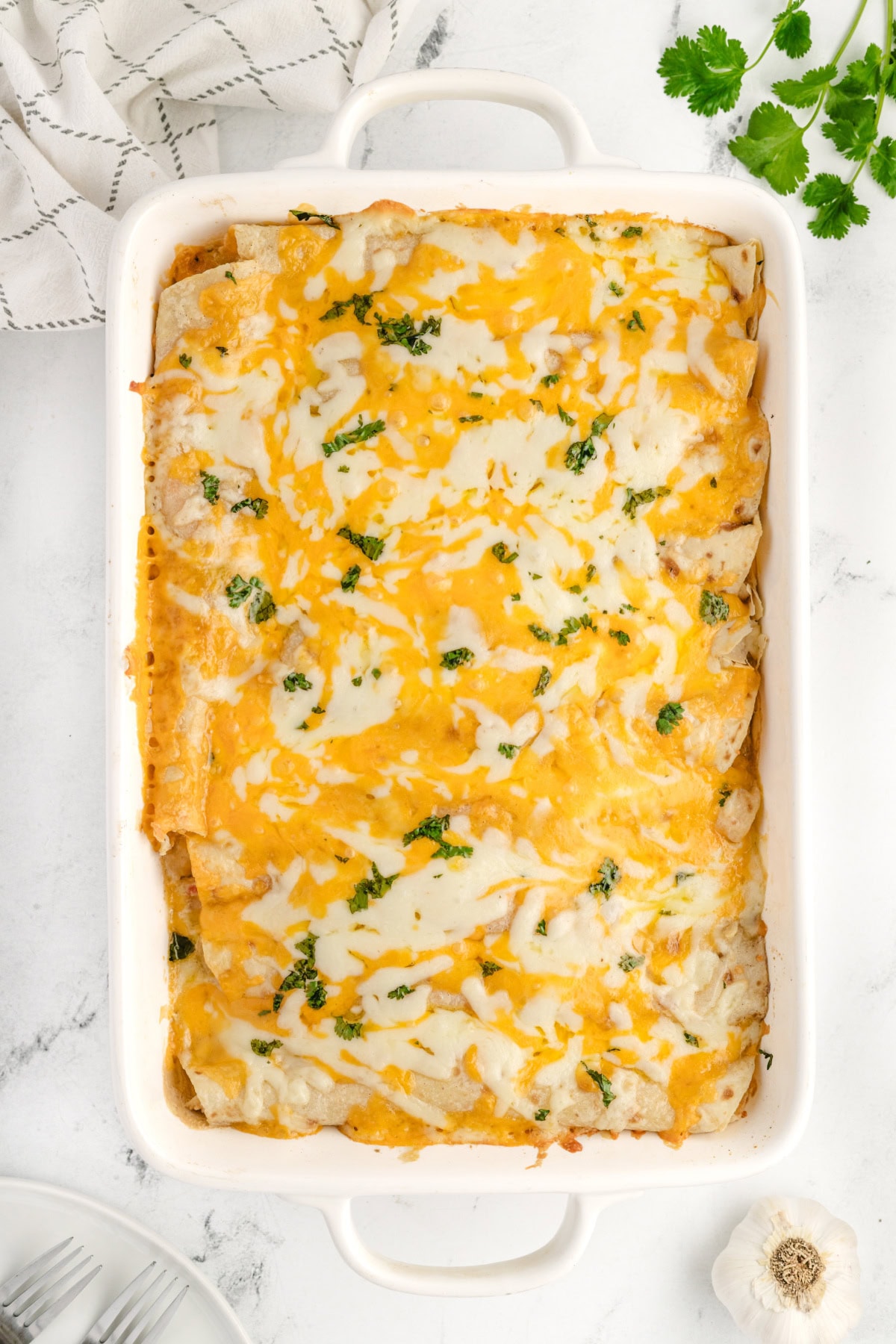 cheesy chicken enchiladas just out of the oven