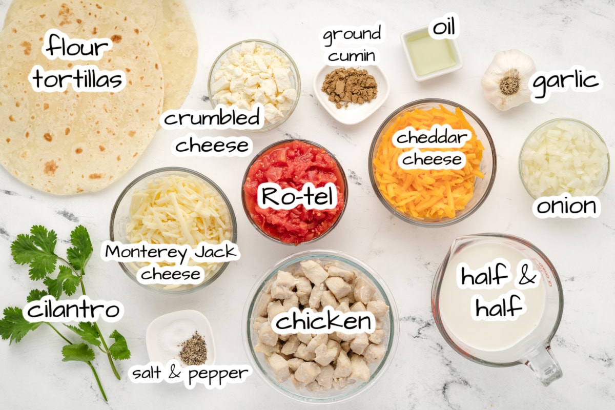 ingredients displayed for making cheesy chicken enchiladas