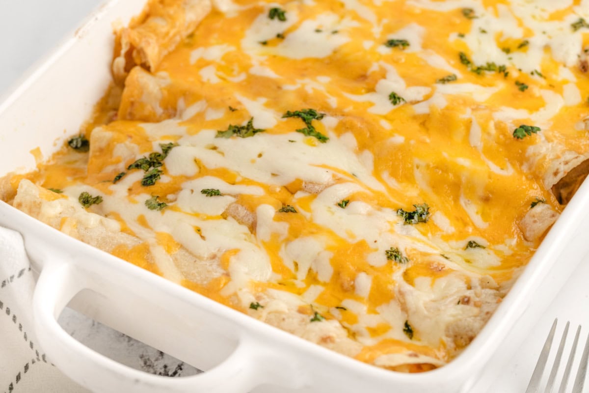 cheesy chicken enchiladas in casserole dish