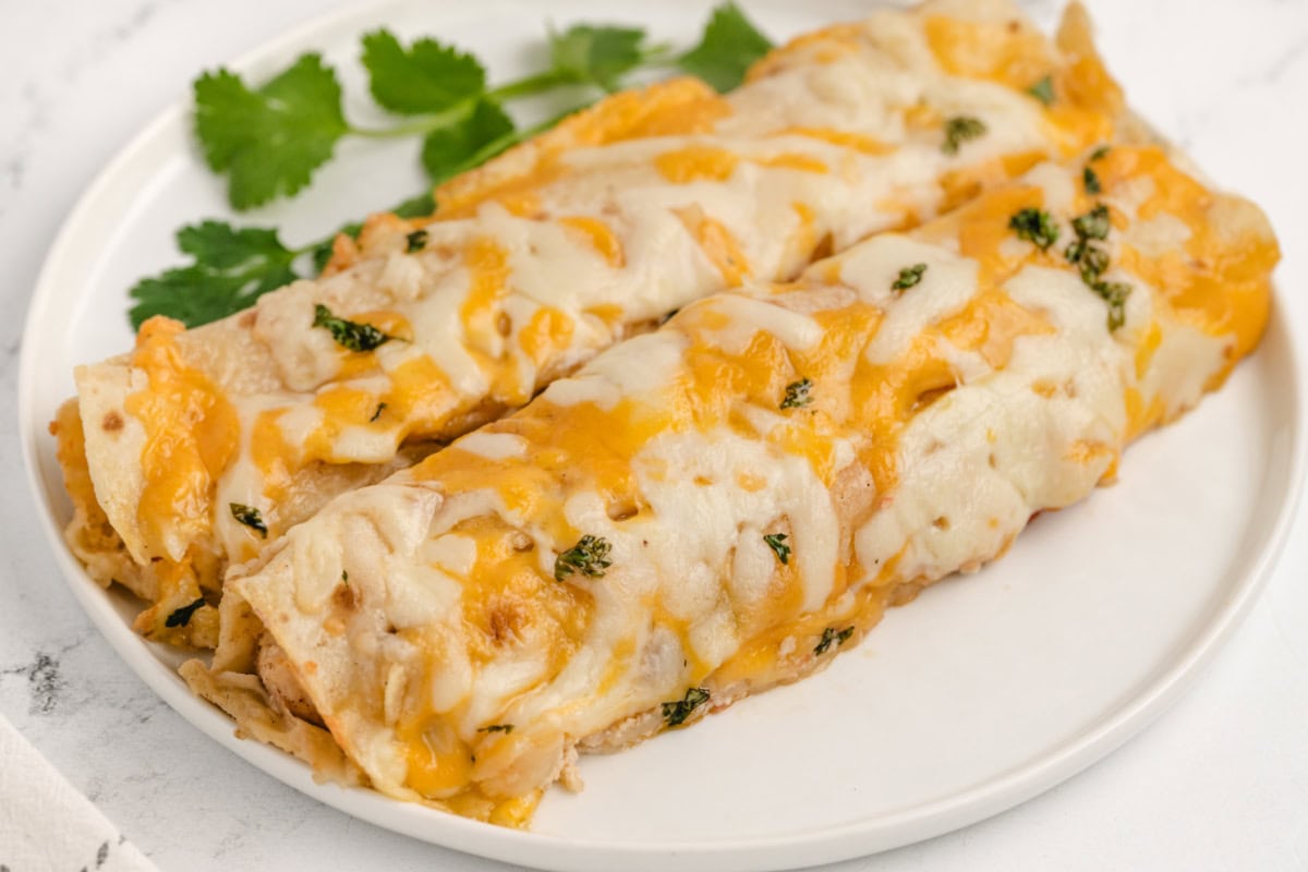 two cheesy chicken enchiladas on a plate
