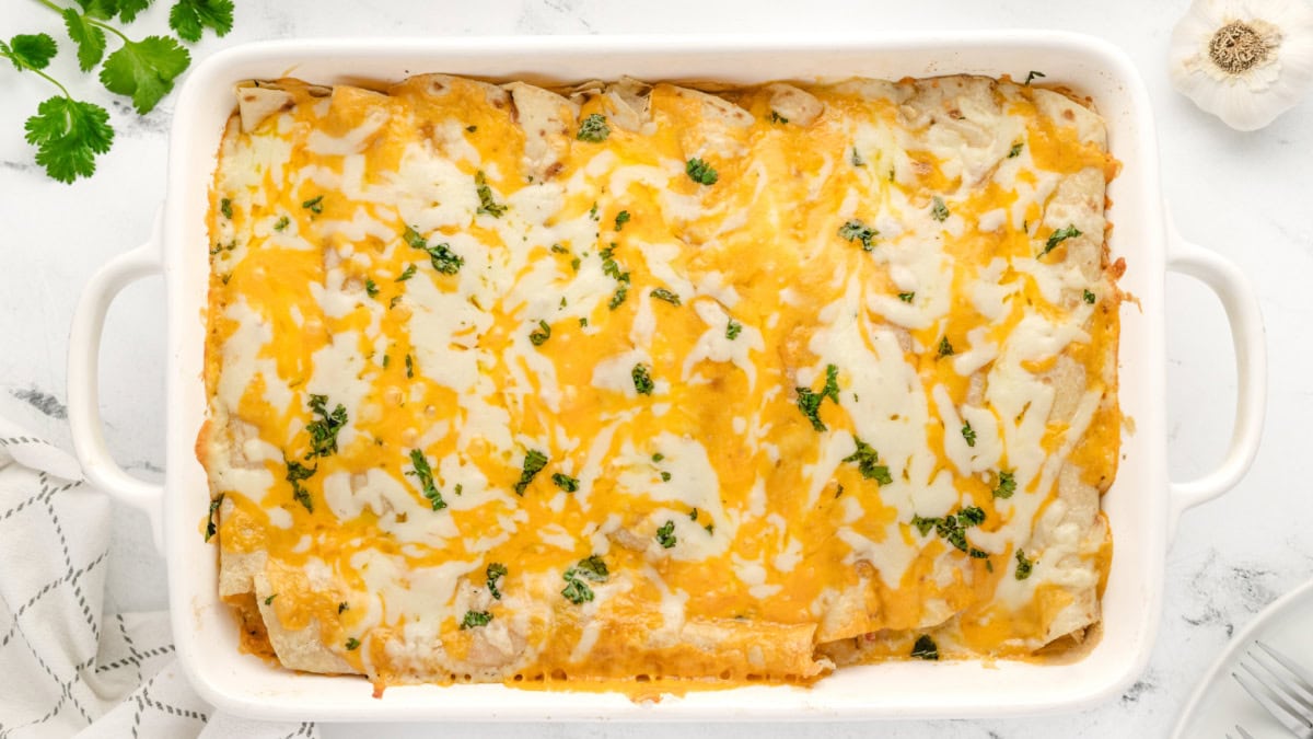 Cheesy Chicken Enchiladas