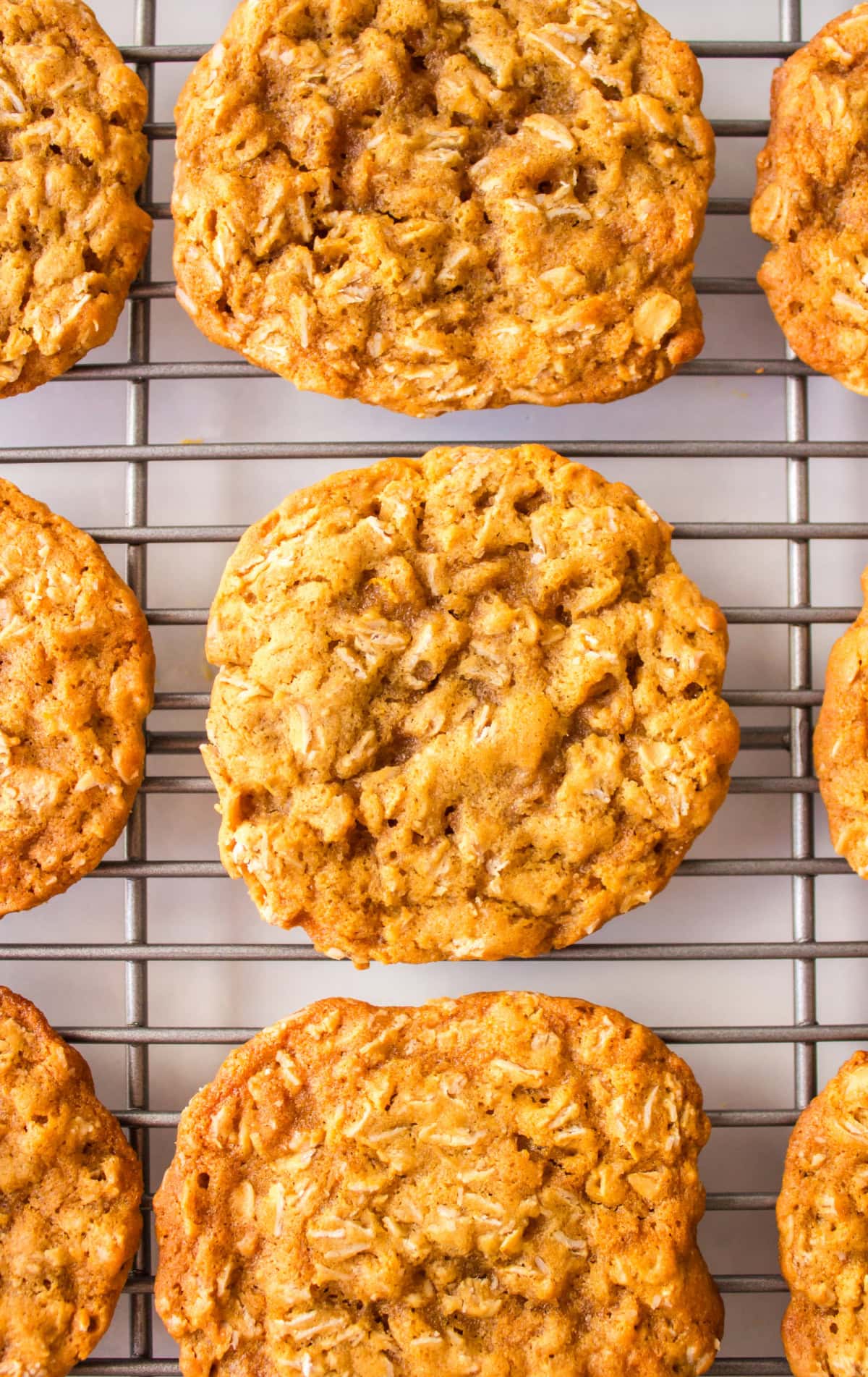 oatmeal refrigerator cookies on a cooling rack