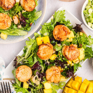 Scallop Salad with Citrus Vinaigrette on plate