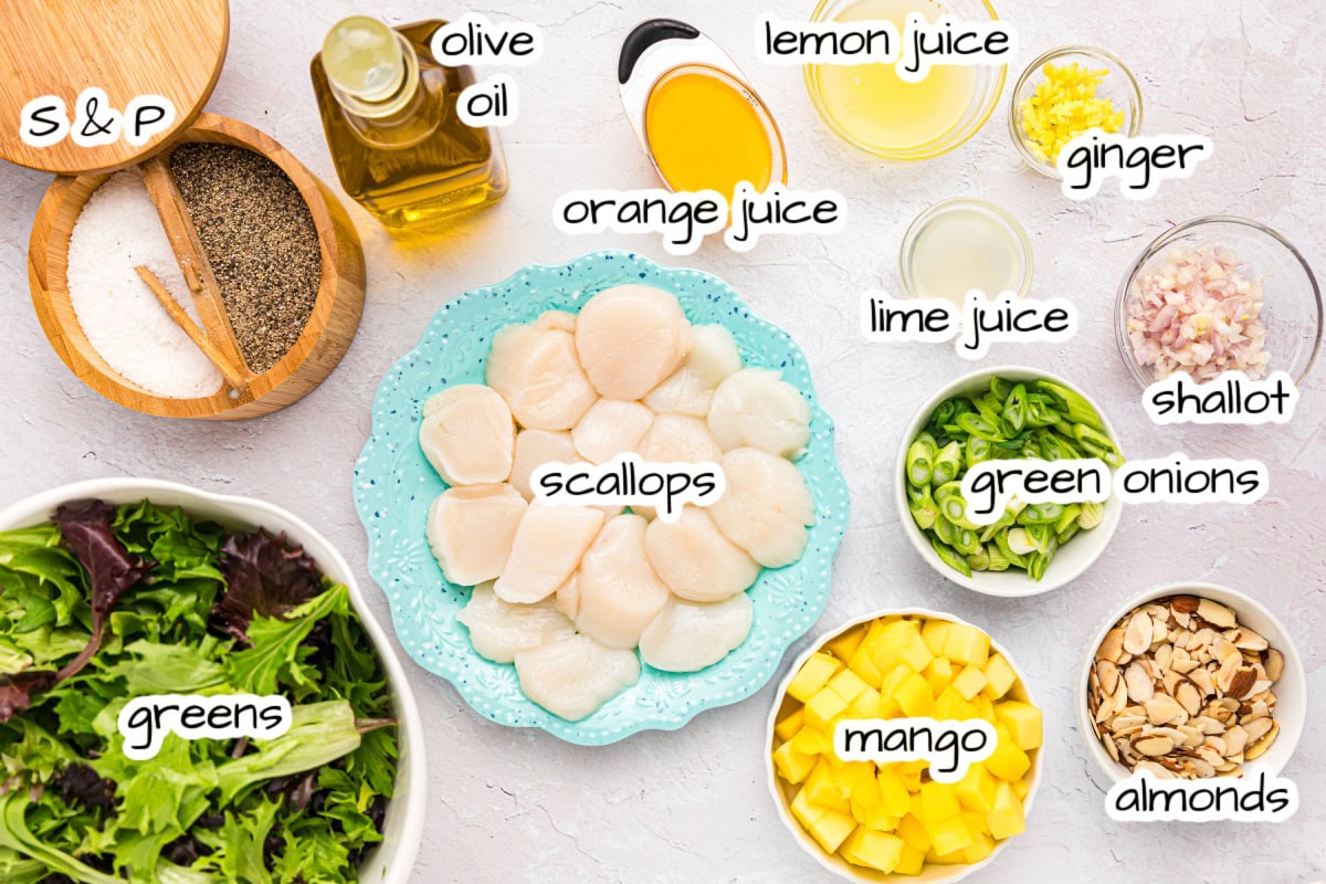 Scallop salad with mango, greens and a citrus vinaigrette. Fresh, light and perfect for a quick, flavorful meal! ingredients displayed for making scallop salad